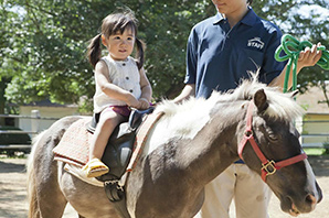 NARITA DREAM DAIRY FARM