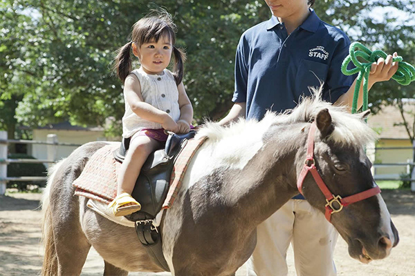 NARITA DREAM DAIRY FARM